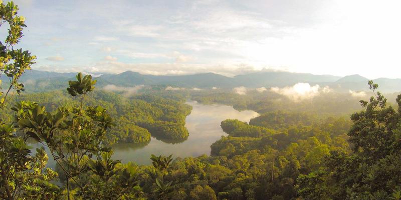 环保科技42：中国蓝科技如何引领可持续发展新范式