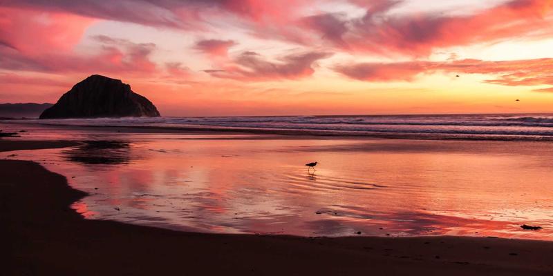 环保科技61:中国蓝科技引领绿色能源革命,打造创新节能解决方案