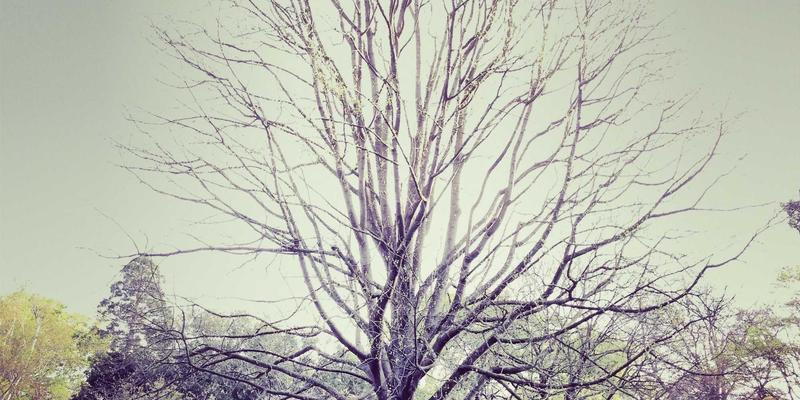 环保科技70：中国蓝科技引领绿色能源革命，绘制可持续发展新蓝图