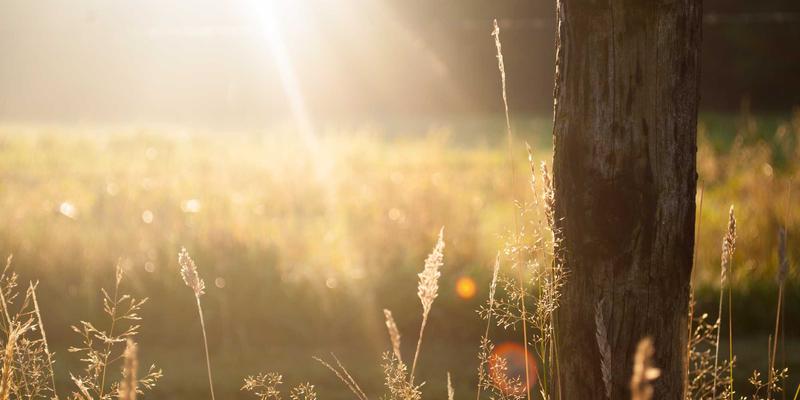 环保科技87：以节能解决方案驱动可持续发展的绿色能源革命