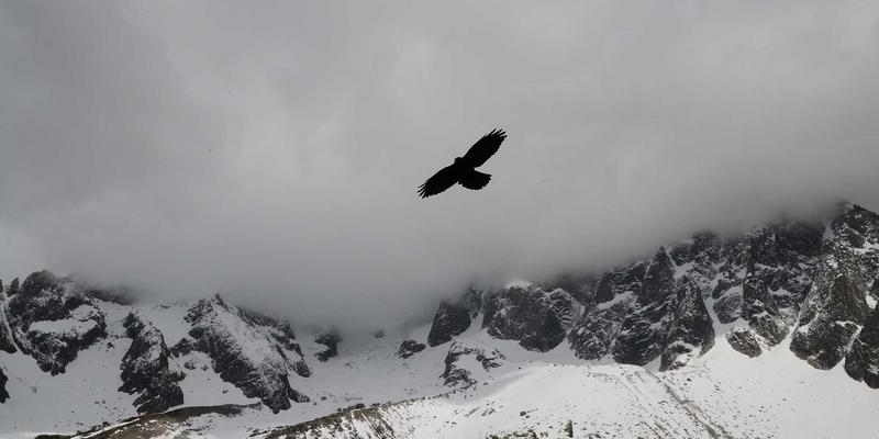 环保科技技巧:用可持续发展理念打造绿色生活