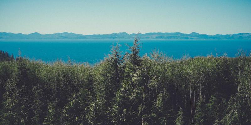 绿色科技深度评测：可持续发展如何通过节能与新能源方案照进现实